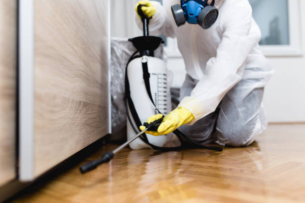 Best Residential Pest Control  in Stanaford, WV