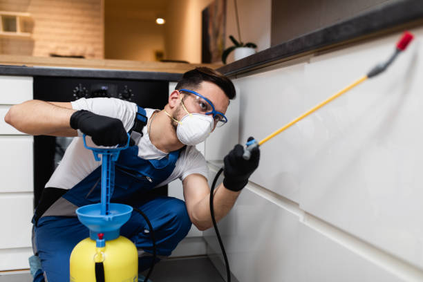 Best Flea Control Services  in Stanaford, WV