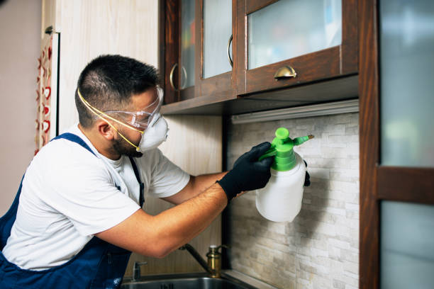  Stanaford, WV Pest Control Pros