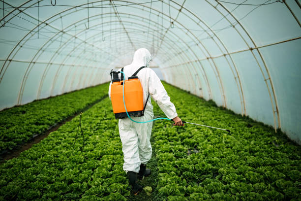 Pest Prevention Services in Stanaford, WV