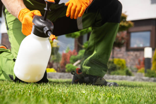 Professional Pest Control in Stanaford, WV