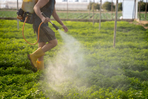 Wasp Removal Services in Stanaford, WV