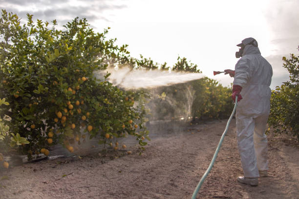 Best Local Pest Control Services  in Stanaford, WV
