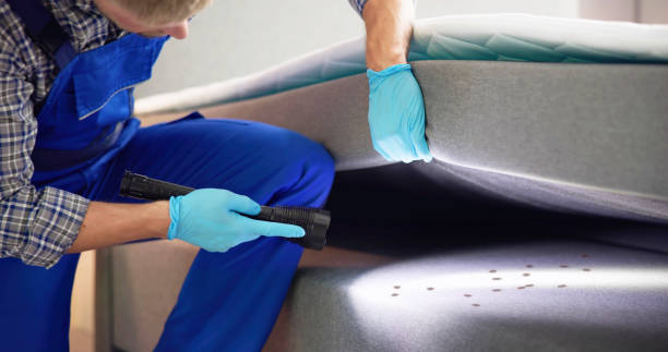Pest Prevention Services in Stanaford, WV