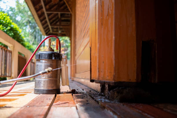 Best Residential Pest Control  in Stanaford, WV