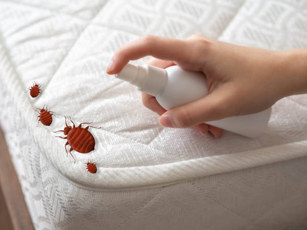 Stanaford, WV Pest Control Company
