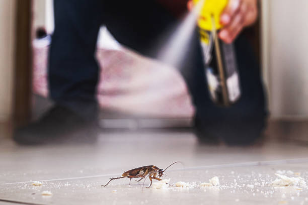 Best Cockroach Control Services  in Stanaford, WV