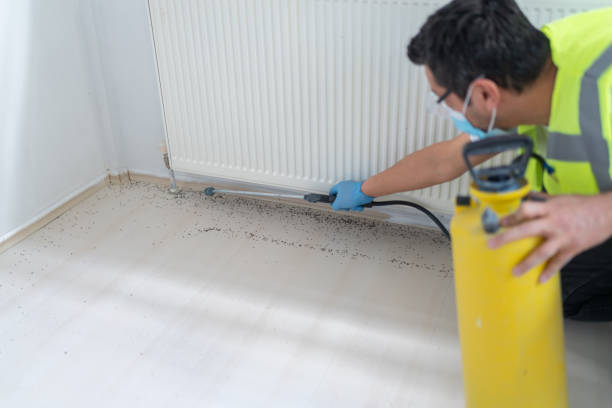 Best Local Pest Control Services  in Stanaford, WV