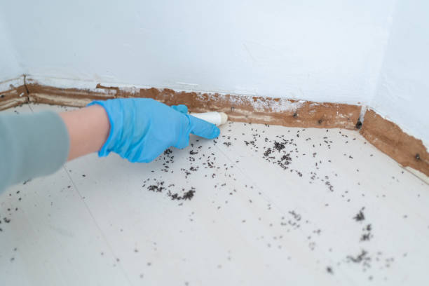 Best Exterminator Services  in Stanaford, WV